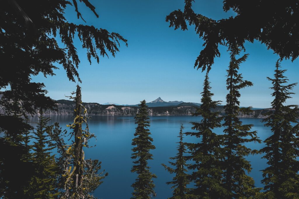 pexels-photo-830965-830965 A tranquil view of Crater Lake framed by evergreen trees under a clear blue sky.